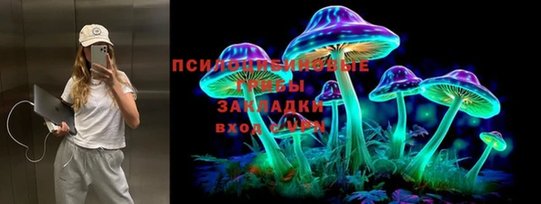кокс Алексин