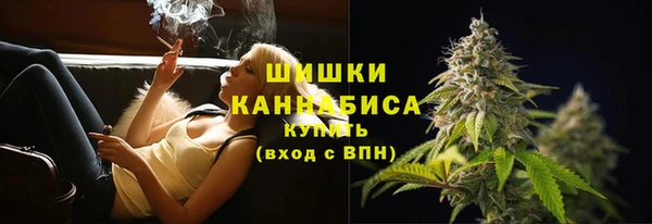 бутират Гусь-Хрустальный