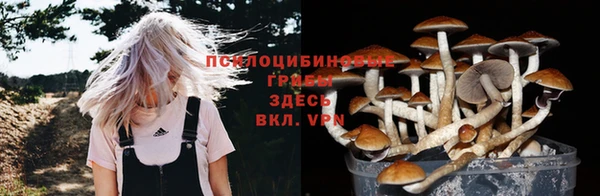 кокс Алексин