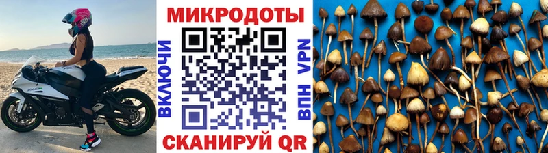 наркотики  mega сайт  Галлюциногенные грибы GOLDEN TEACHER  Бирск 