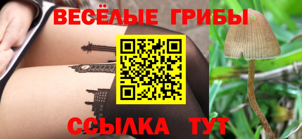 Бирск  Галлюциногенные грибы ЛСД  Псилоцибиновые грибы Psilocybine cubensis  Вход с VPN 